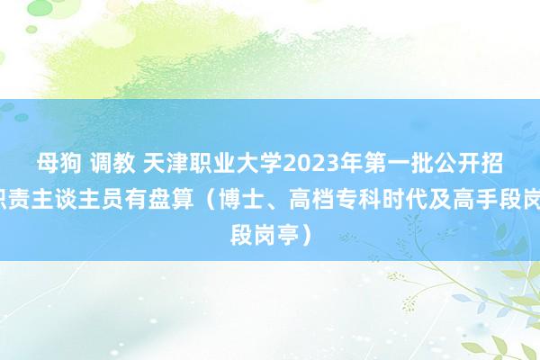 母狗 调教 天津职业大学2023年第一批公开招聘职责主谈主员有盘算（博士、高档专科时代及高手段岗亭）