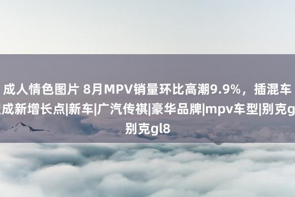 成人情色图片 8月MPV销量环比高潮9.9%，插混车型成新增长点|新车|广汽传祺|豪华品牌|mpv车型|别克gl8