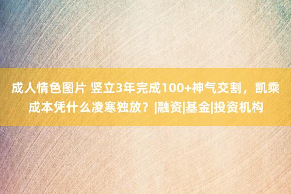 成人情色图片 竖立3年完成100+神气交割，凯乘成本凭什么凌寒独放？|融资|基金|投资机构