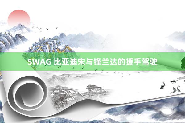 SWAG 比亚迪宋与锋兰达的援手驾驶