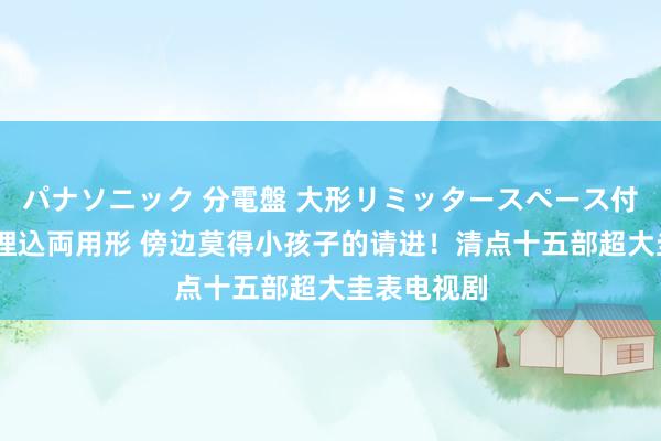 パナソニック 分電盤 大形リミッタースペース付 露出・半埋込両用形 傍边莫得小孩子的请进！清点十五部超大圭表电视剧