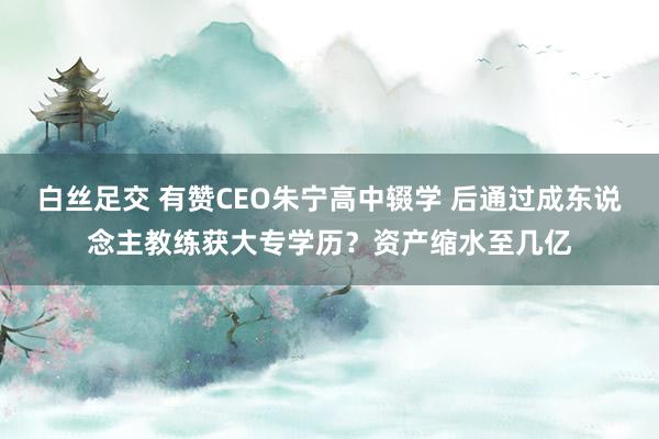 白丝足交 有赞CEO朱宁高中辍学 后通过成东说念主教练获大专学历？资产缩水至几亿