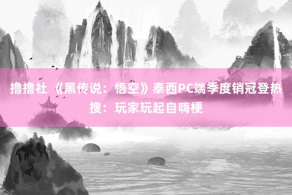 撸撸社 《黑传说：悟空》泰西PC端季度销冠登热搜：玩家玩起自嗨梗