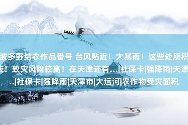 波多野结衣作品番号 台风贴近！大暴雨！这些处所积水！防汛四级济急响应！致灾风险较高！在天津还有...|社保卡|强降雨|天津市|大运河|农作物受灾面积