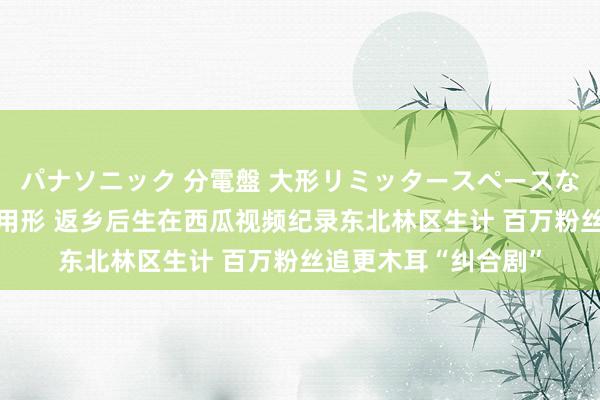 パナソニック 分電盤 大形リミッタースペースなし 露出・半埋込両用形 返乡后生在西瓜视频纪录东北林区生计 百万粉丝追更木耳“纠合剧”