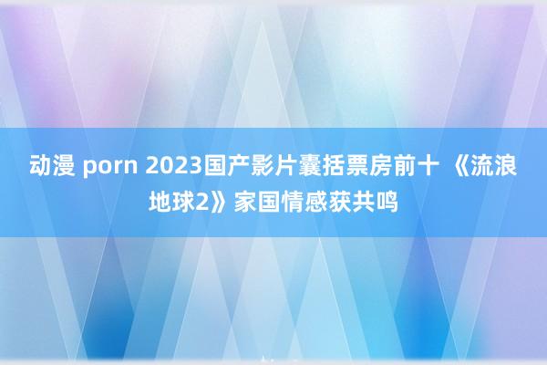 动漫 porn 2023国产影片囊括票房前十 《流浪地球2》家国情感获共鸣