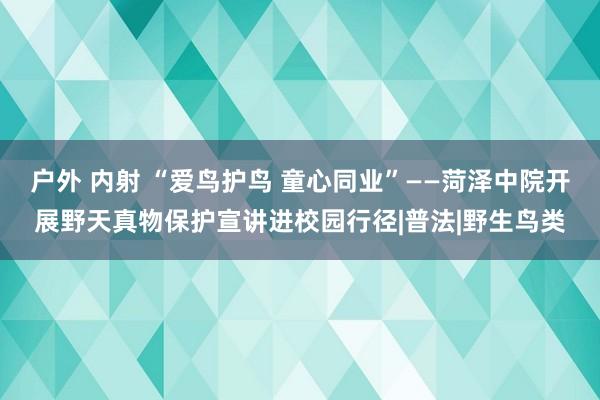 户外 内射 “爱鸟护鸟 童心同业”——菏泽中院开展野天真物保护宣讲进校园行径|普法|野生鸟类