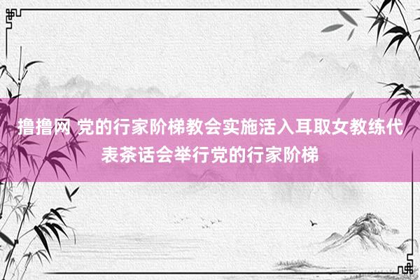 撸撸网 党的行家阶梯教会实施活入耳取女教练代表茶话会举行党的行家阶梯